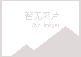 徽县夜山会计有限公司